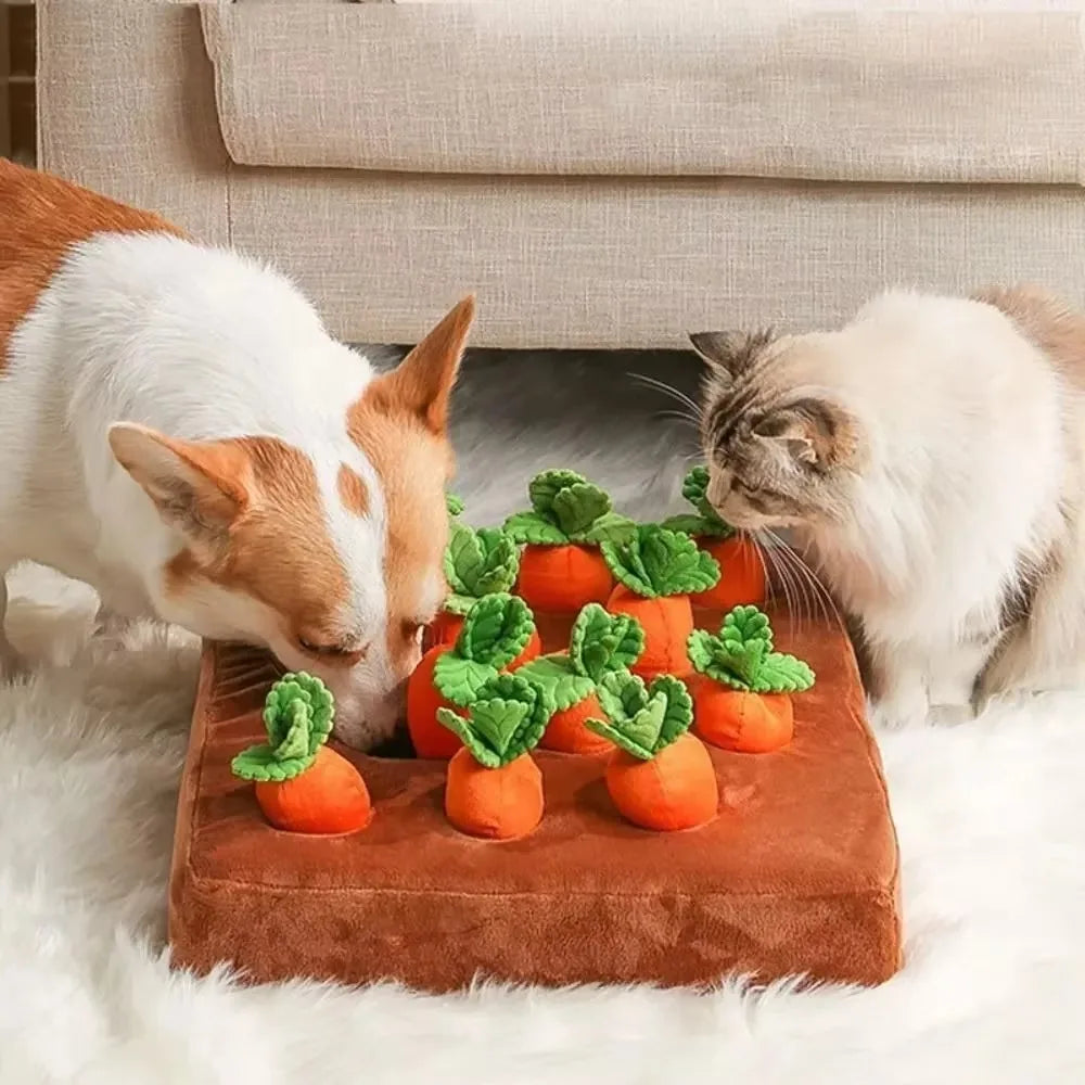 Northpaw Carrot Snuffle Mat for Dogs