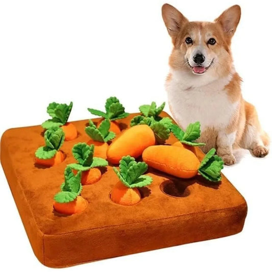 Northpaw Carrot Snuffle Mat for Dogs