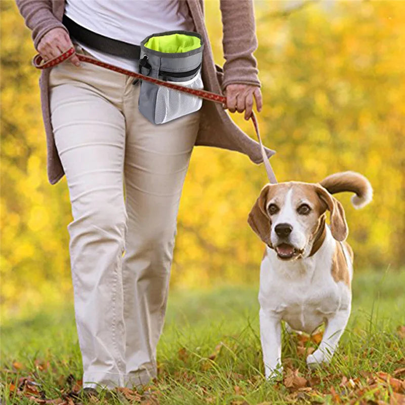 Northpaw Dog Treat Pouch for Walks & Training