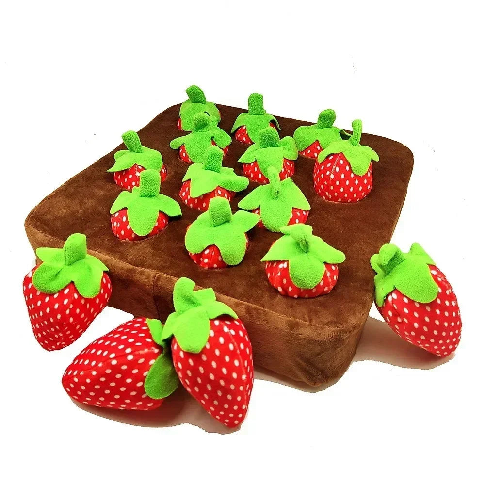 Northpaw Carrot Snuffle Mat for Dogs